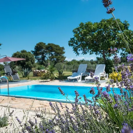 Wonderful Palera Ii With Pool, Immersed In The Nature Near The Liznjan