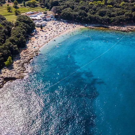 Wonderful Palera Ii With Pool, Immersed In The Nature Near The Villa
